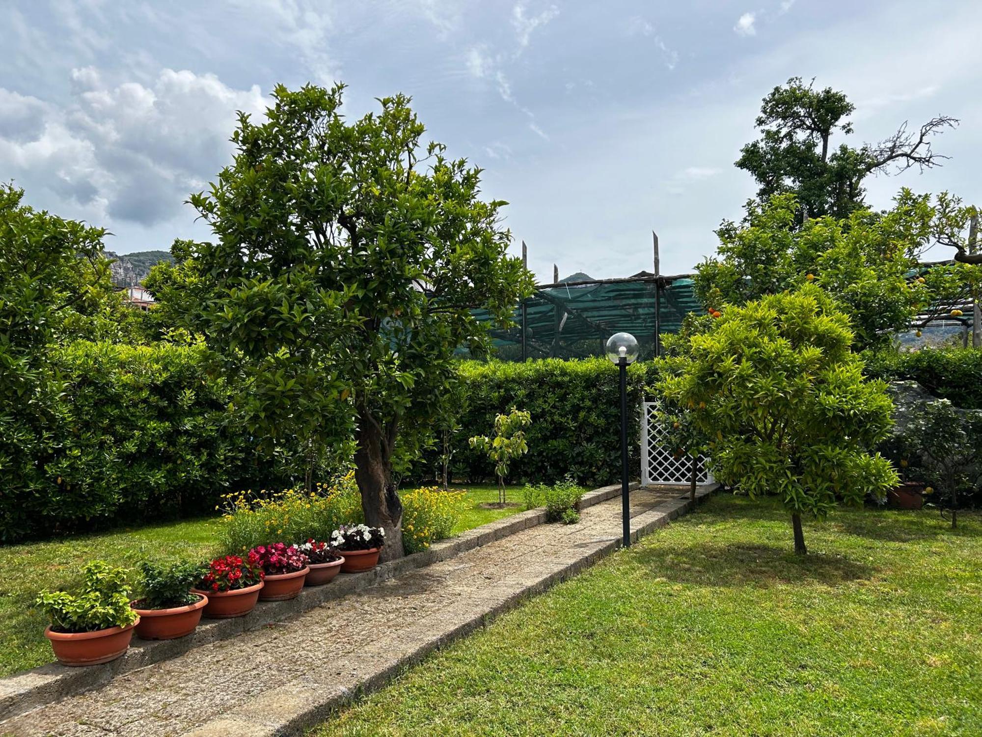 Baia Della Serenita Nocleg ze śniadaniem Piano di Sorrento